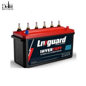 Livguard IT481400ST Tubular Inverter Battery